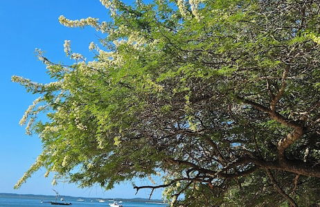Casa Karibu at Santa Maria Machangulo Mozambique - Photo 32