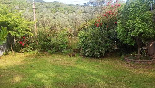 Zephyr Guest House - Foto 5, Garden, Garden view