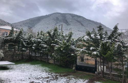 "Mykines" Apartment of Levidi Arcadian Apartments - Foto 7