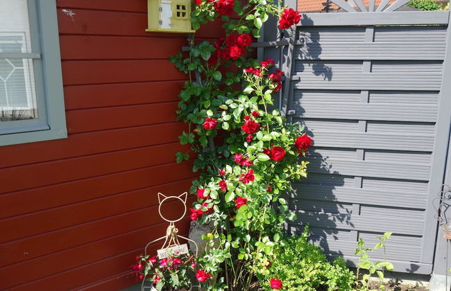 Apartment in Ennerich's Valley - Foto 18