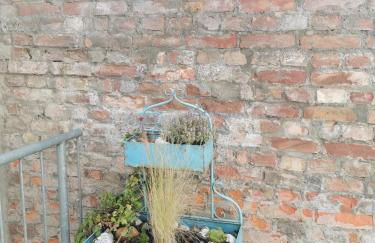 Homelig Altstadt Ferienwohnungen Sassnitz - Foto 24