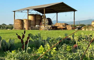 Tenuta Di Paternostro - Foto 26