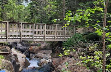 Studio cosy classé 3 étoiles dans cœur historique - Foto 17