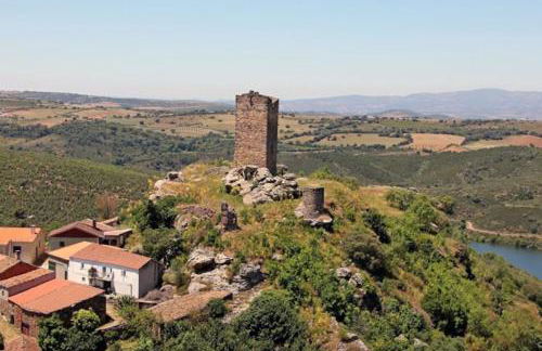 Anjú-Pardal - Foto 56