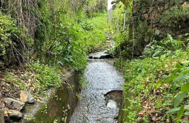 Alojamiento La Casa del Pintor - Foto 22