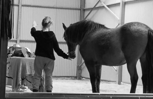 casa rural larre aundi - Foto 44