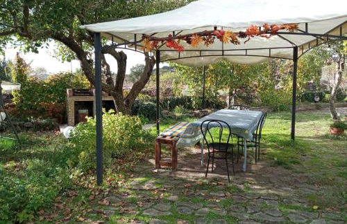 Etna, salvia e rosmarino - Foto 17