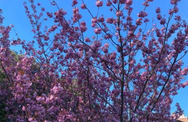 Mt. Baker View Harbor King Bed Fire Pit - Foto 52