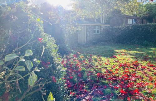 Lovely Cottage with Mountain Views - Foto 46