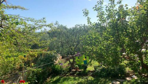 Apartman Dalija - Photo 2