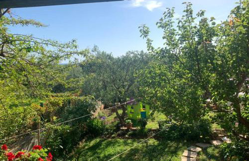 Apartman Dalija - Foto 2