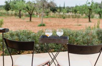 Finca Es Cabas - Foto 79