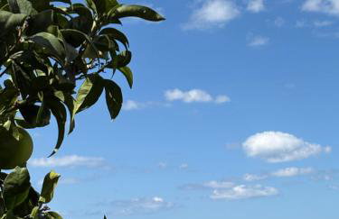 Zoel's House in Chalkidiki - Foto 24