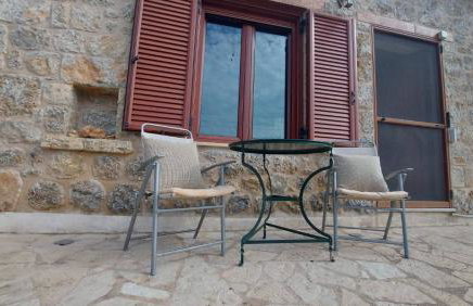 homonatura petrinum - Foto 18