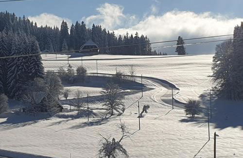 Appartement Rehblick - Foto 72