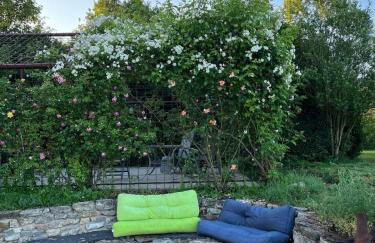 Natur pur Eifel - Foto 7