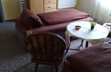 FeWo 12 45qm bis 3 Pers nahe Winterberg - Foto 4