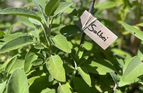 Chalet Schlossberg Weißhorn - Foto 17
