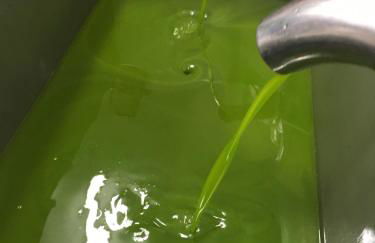 Casa Balata Farm House - Foto 31