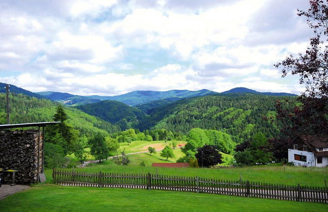 Apartment in Sallneck Near Nonnenmattweiher Lake - Foto 30