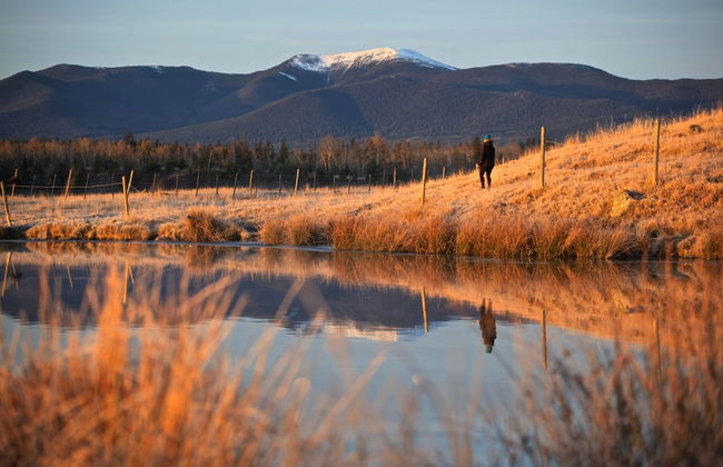 Meadow Lake Guest Ranch - Photo 73