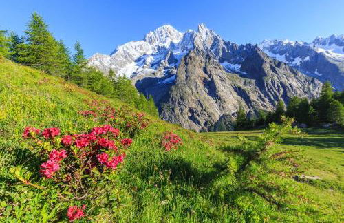 Residence Dolonne - Happy Rentals - Foto 63