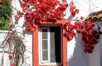 Cortijo La Hoya - Foto 20