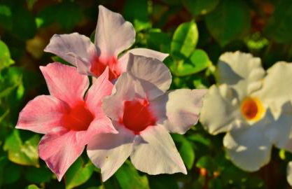 Agriturismo La Fonte - Foto 50