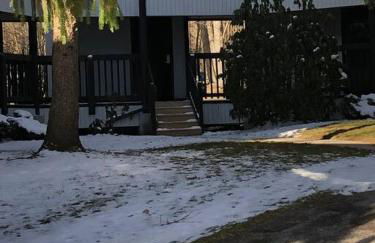 2 Bedroom 2 Bathroom - Blue Knob All Season Resort Condo - Foto 23