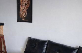 Apartamentos de Frente pro Mar com Vista Incrível - 10 min da Praia do Morro - Photo 35