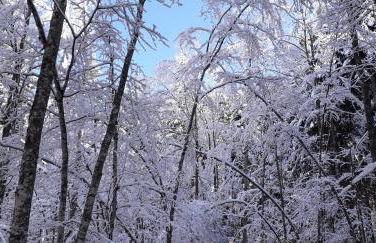 Monolocale Il Capriolo - Abetone - Foto 56