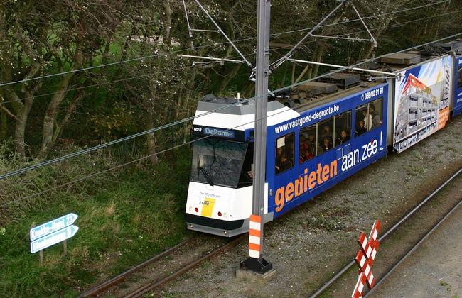 Park Atlantis - Photo 27