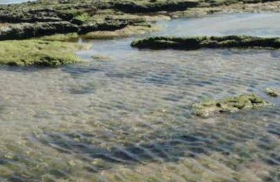 Casa em Condomínio Privativo - Foto 19