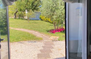 A Quinta da Estrelinha - Foto 31