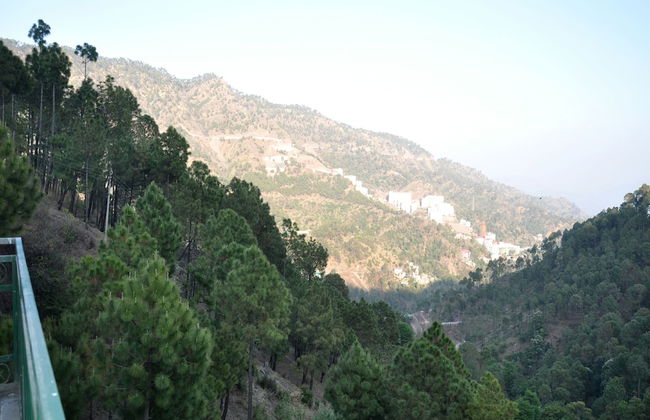 OYO 13463 Home Studio Valley view Kumarhatti - Foto 20