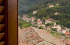 Forrest Guesthouse - Foto 49