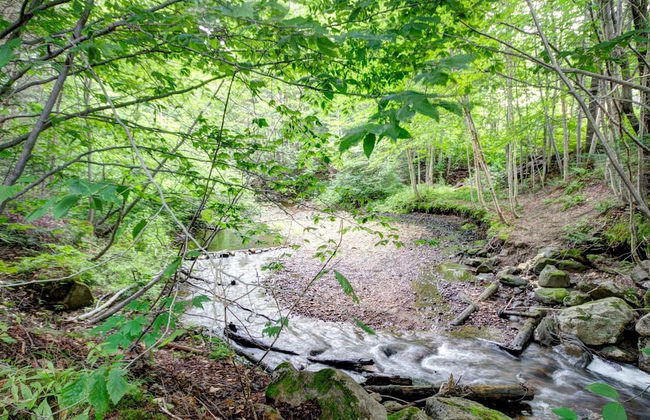 Le Panaché-Chalet à louer Stoneham - Foto 24