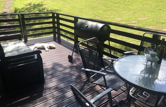 Nuthatch Lodge is set in 24 Acres of Wood, Parkland Near the Village of Cenarth - Photo 21