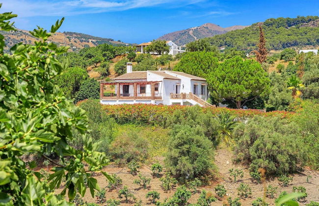 Casa Jorge in Frigiliana - Photo 18