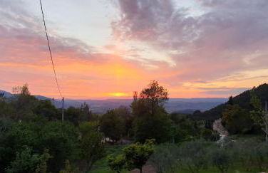 La Calma Montblanc Prenafeta - Photo 76