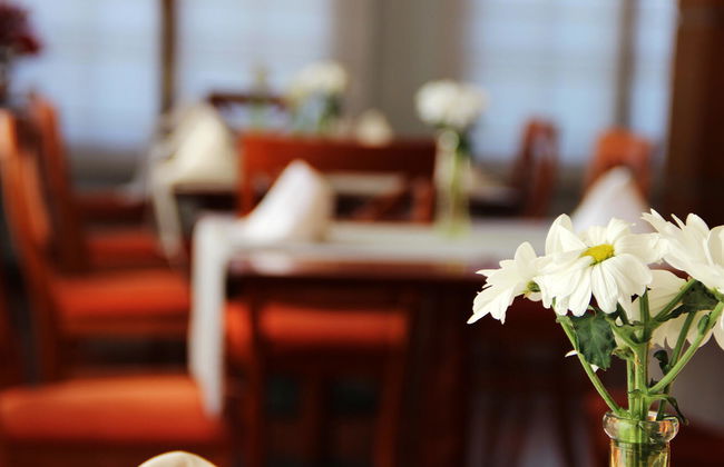 Aparthotel Los Girasoles - Foto 24