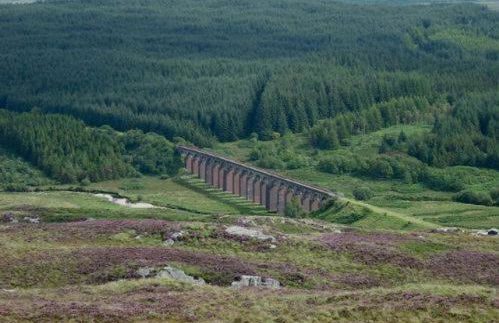 Silver Lodge - Foto 23