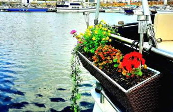 Bateau Zimon-vue Seine-nuit insolite à Rouen - Foto 26