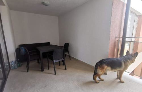 Apartament Perła 22 Jezioro Pluszne - Foto 13