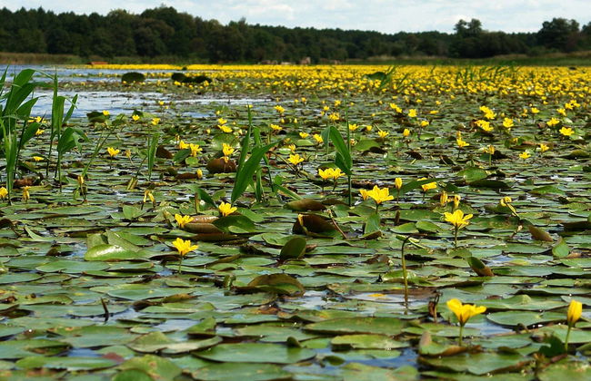Mar Negro e Delta do Danúbio em 2 dias - Foto 1