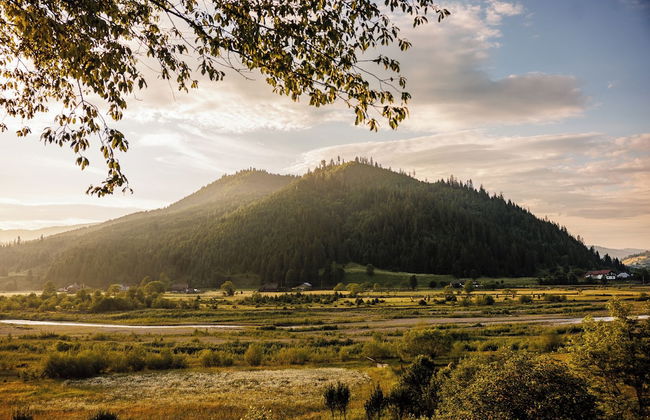 RECONNECT GLAMPING - Foto 30