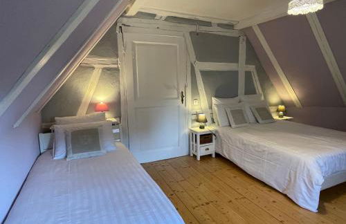 Gîte Aux P'tits Cœurs d'Alsace - Foto 24