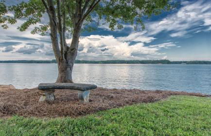 Azalea Retreat by Avantstay Sleeps 34 & Pool - Foto 49