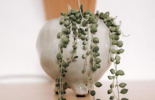 Luggishof - Photo 14