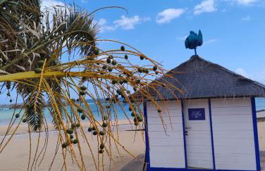 Esmeralda 15 Caleta de Fuste - Photo 35